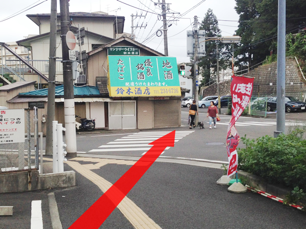 ④ 10m歩くとすぐ横断歩道があるので横断歩道を渡り直進します。